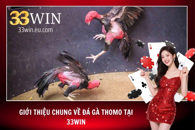 Trải nghiệm đá gà chân thật từng chi tiết