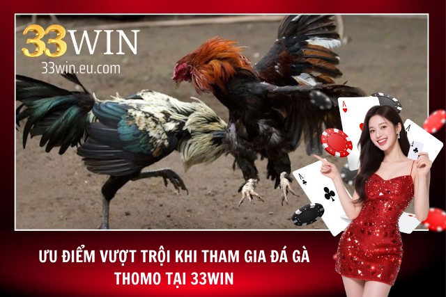 Lợi ích khi tham gia đá gà tại nhà cái số một thị trường hiện nay